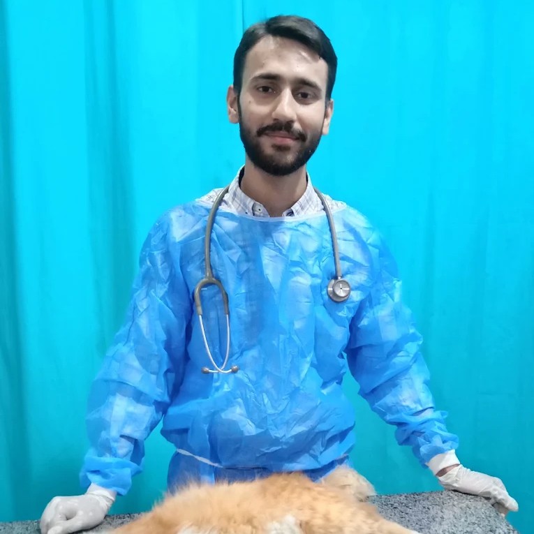 Dr. Sarah Ahmed - Lead Veterinarian